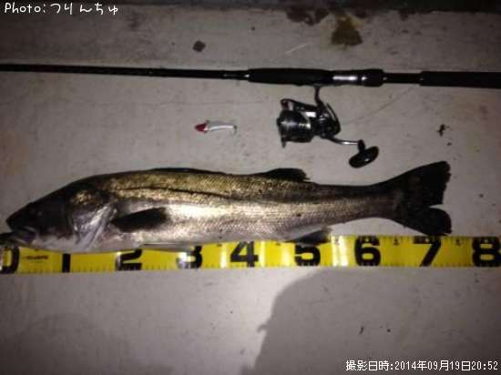 �����Х�