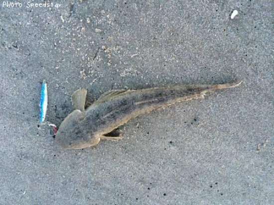 �ޥ���