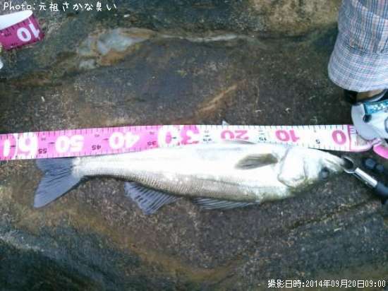 �����Х�