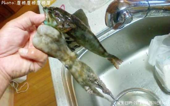 �ޥ�������ϥ�