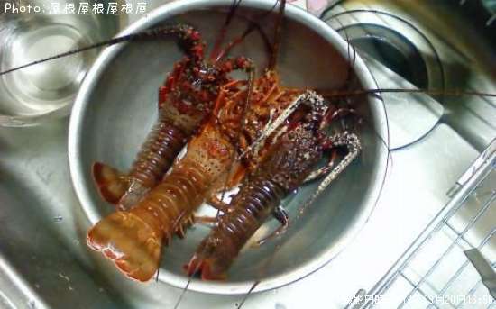 ������Ϸ