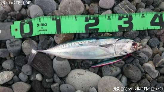 ���������ĥ�