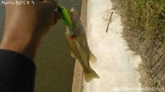 �֥�å��Х�