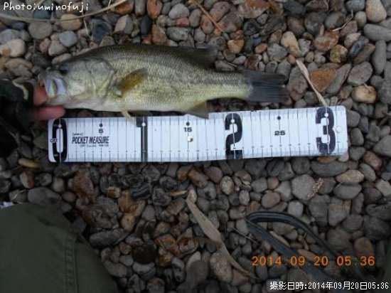 �֥�å��Х�