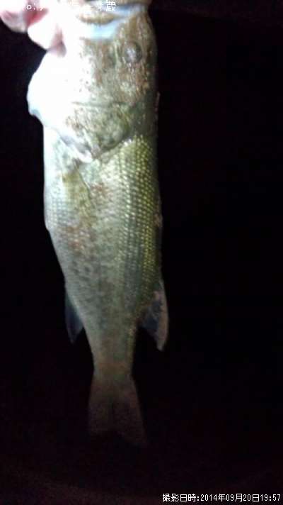 �֥�å��Х�