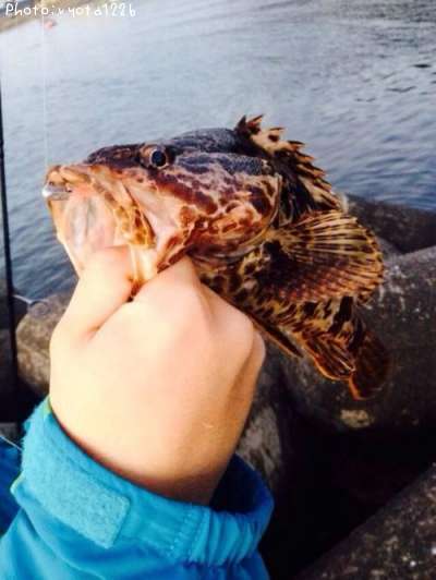 �����Υ���Х�