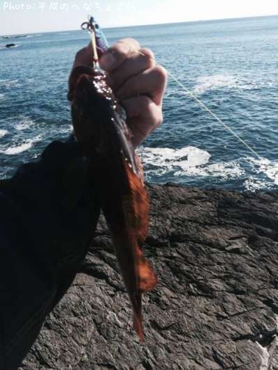 �����ʥ�