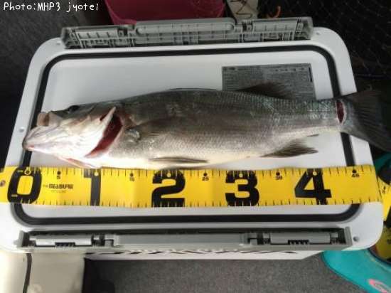 �ҥ饹����