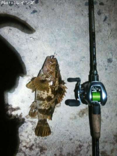 �����Υ���Х�