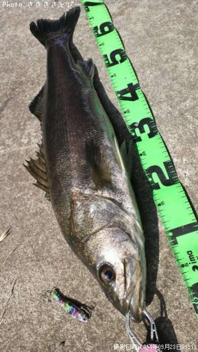 �����Х�