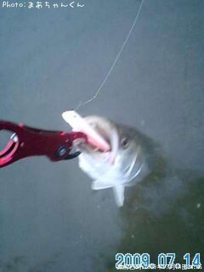 �����Х�