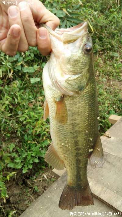 �֥�å��Х�