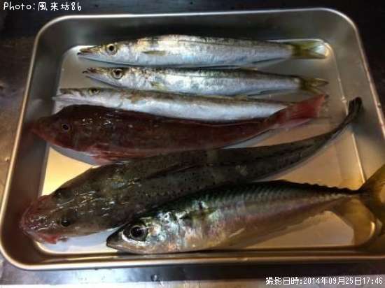 �ۥ��ܥ�����˥��������ޥ�