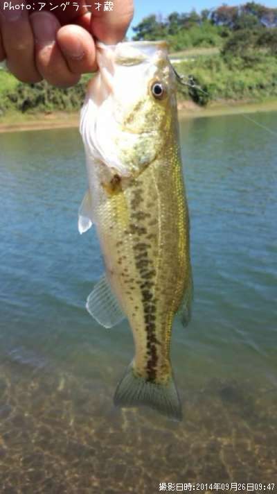 �֥�å��Х�