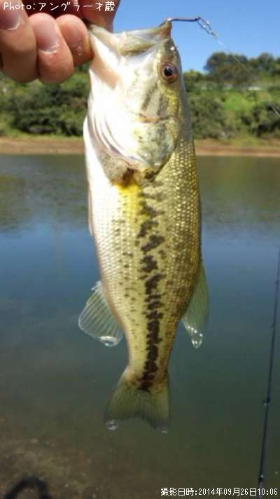 �֥�å��Х�