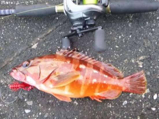 �����ϥ�