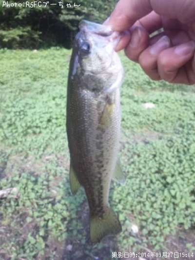 �֥�å��Х�