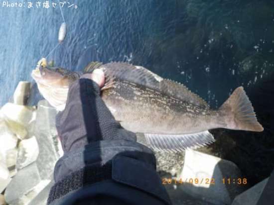 �����ʥ�