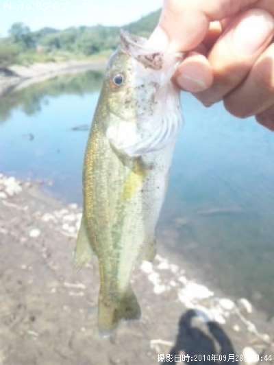 �֥�å��Х�