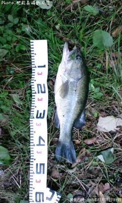 �֥�å��Х�