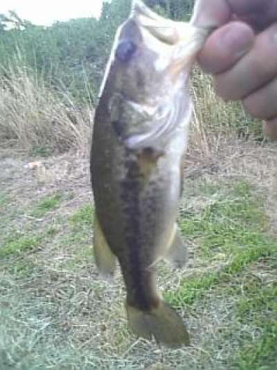 �֥�å��Х�