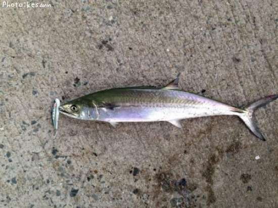 �����Х�