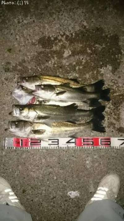 �����Х�