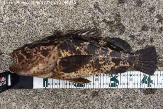 �����Υ���Х�