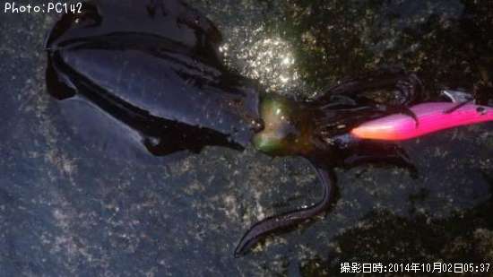 �����ꥤ��