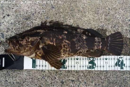 �����Υ���Х�