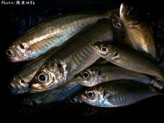 ����