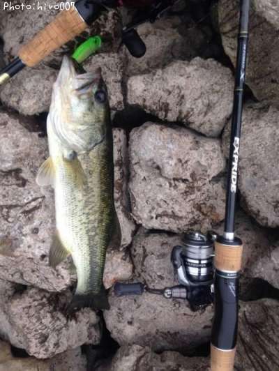 �֥�å��Х�