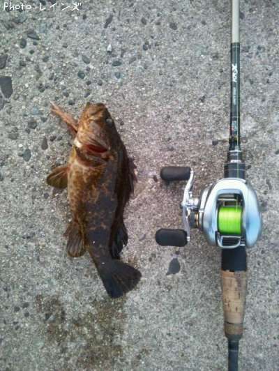 �����Υ���Х�