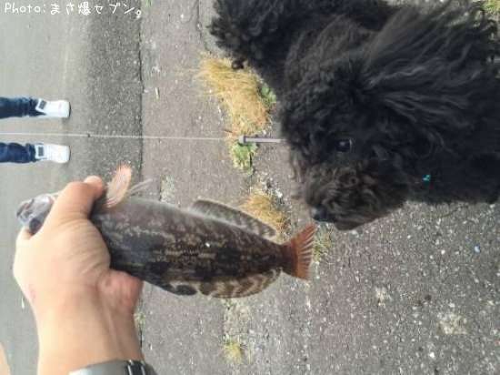 �����ʥ�