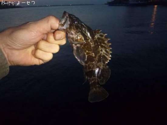 �����Υ���Х�