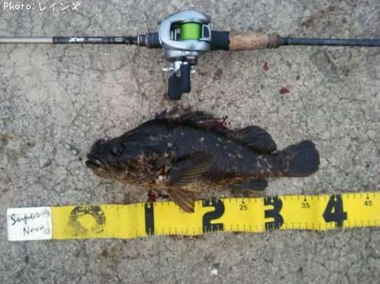 �����Υ���Х�