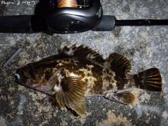 �����Υ���Х�