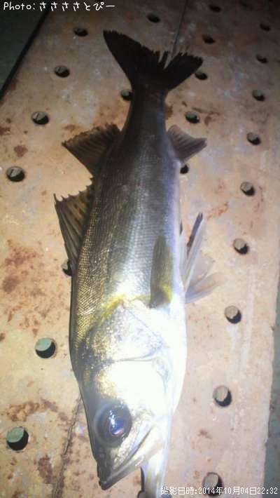 �����Х���