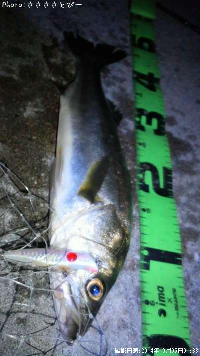 �����Х���