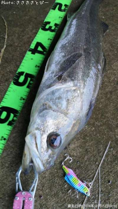 �����Х���