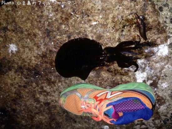 �����ꥤ��