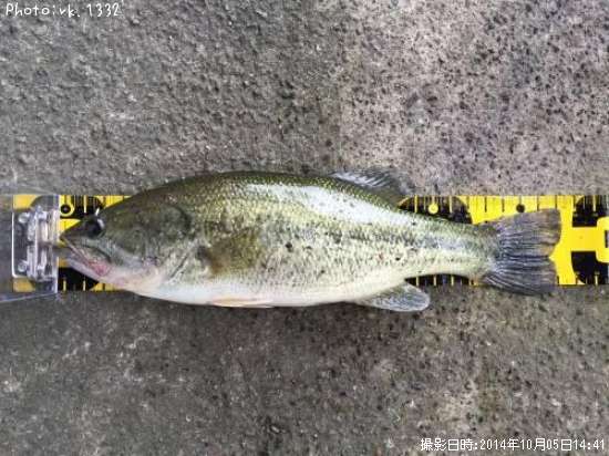 �֥�å��Х�