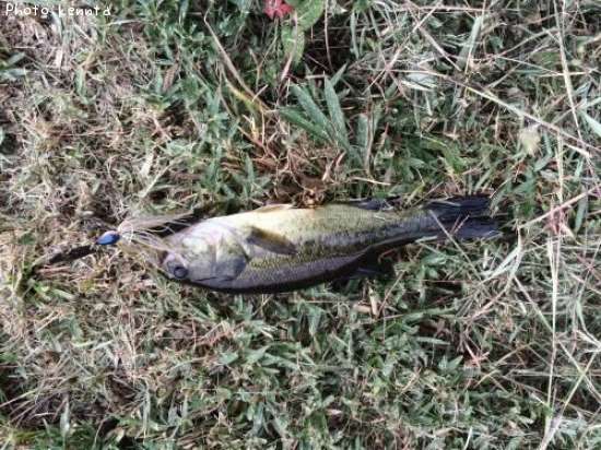 �֥�å��Х�