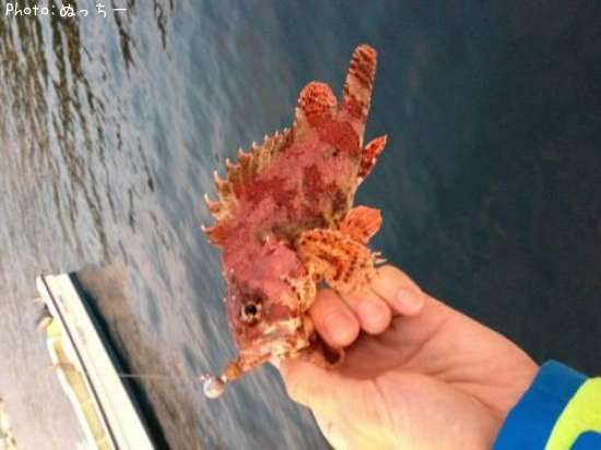 �������Х�