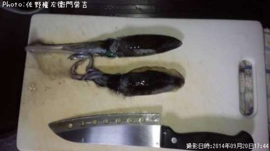 �����ꥤ��