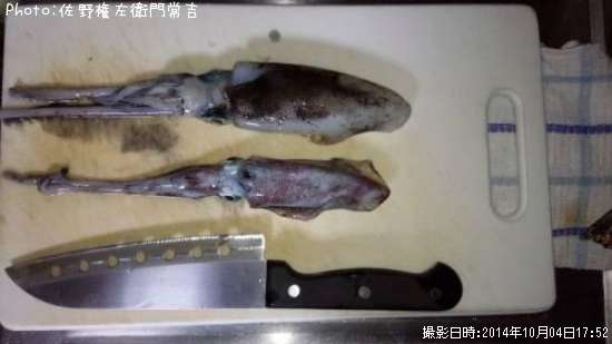 �����ꥤ��