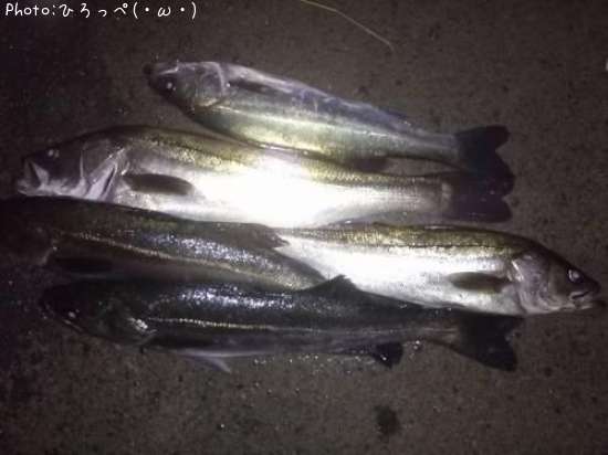 �����Х�