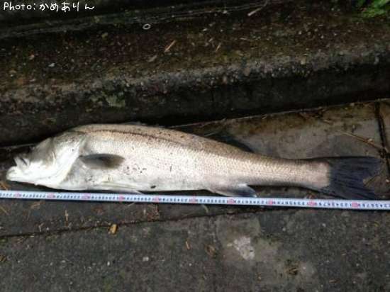 �����Х�