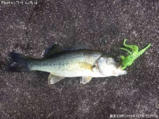 �֥�å��Х�