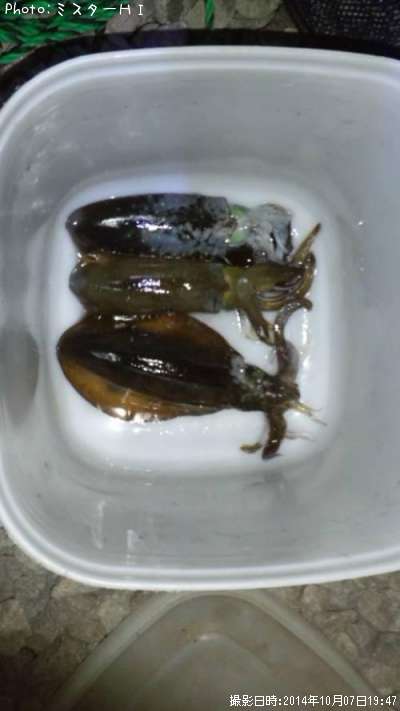 �����ꥤ��